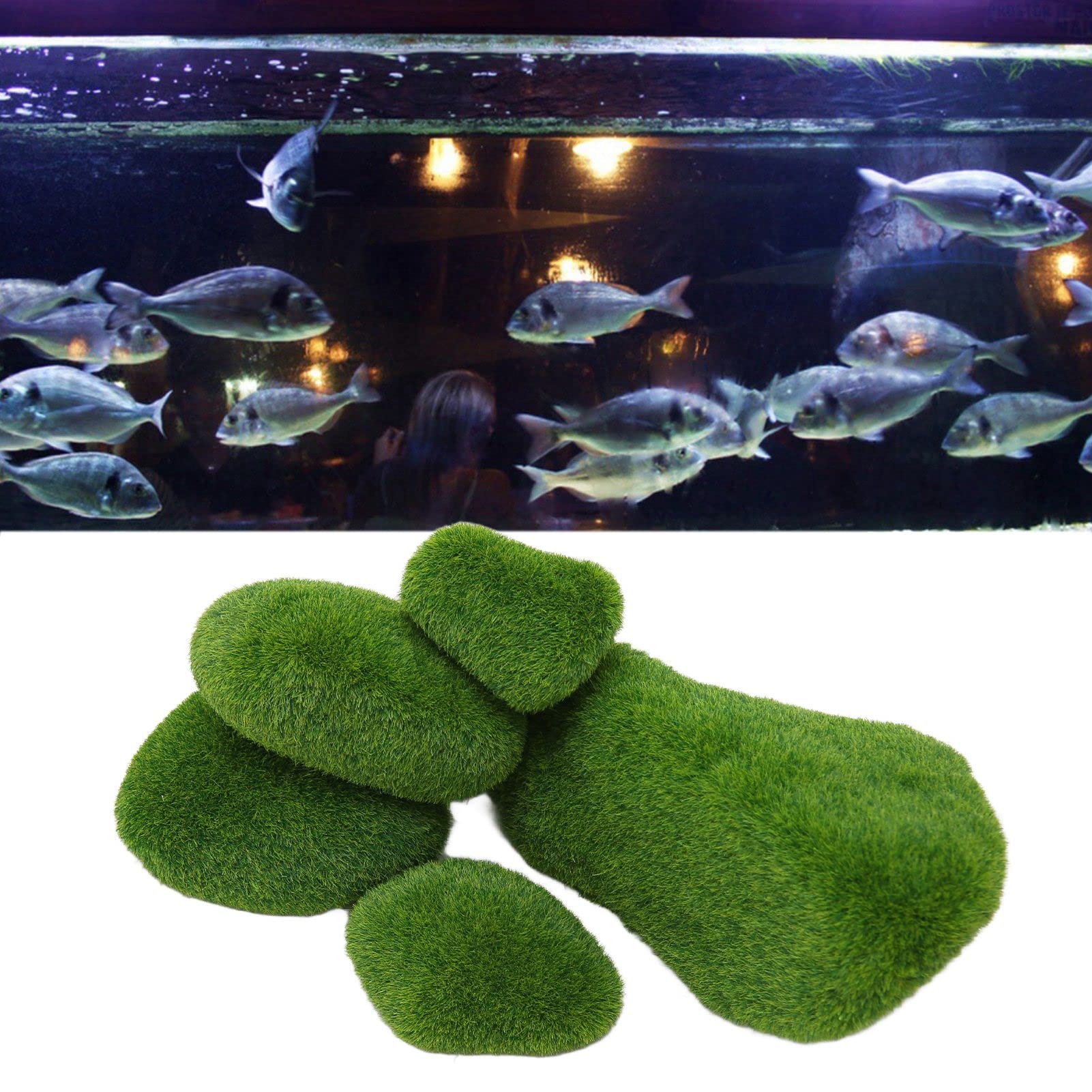 Amazon.co.jp: 人工苔石 水槽装飾 グリーン苔石/3690 : ペット用品